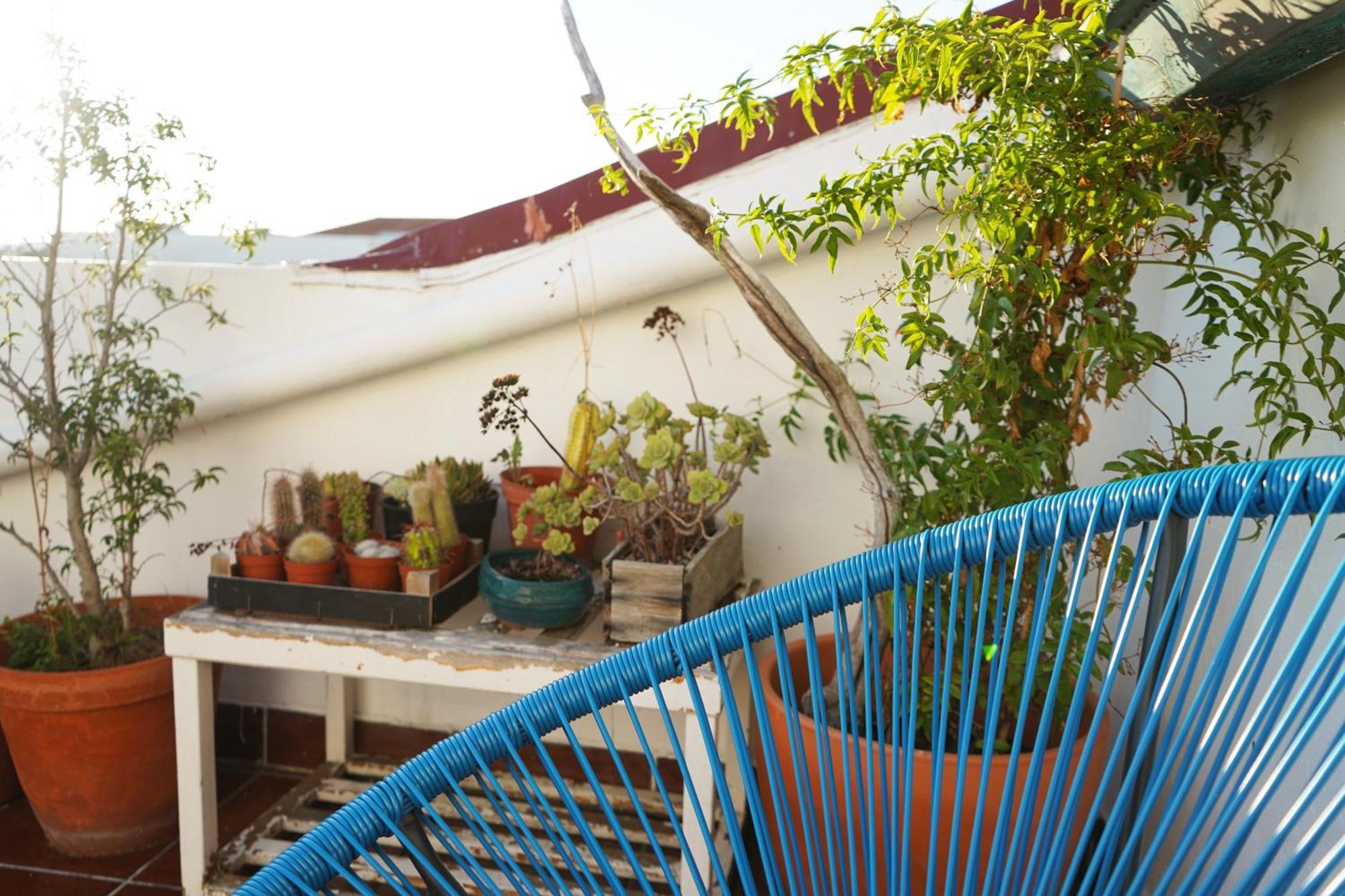 Готель Vic Aveiro Arts House Екстер'єр фото